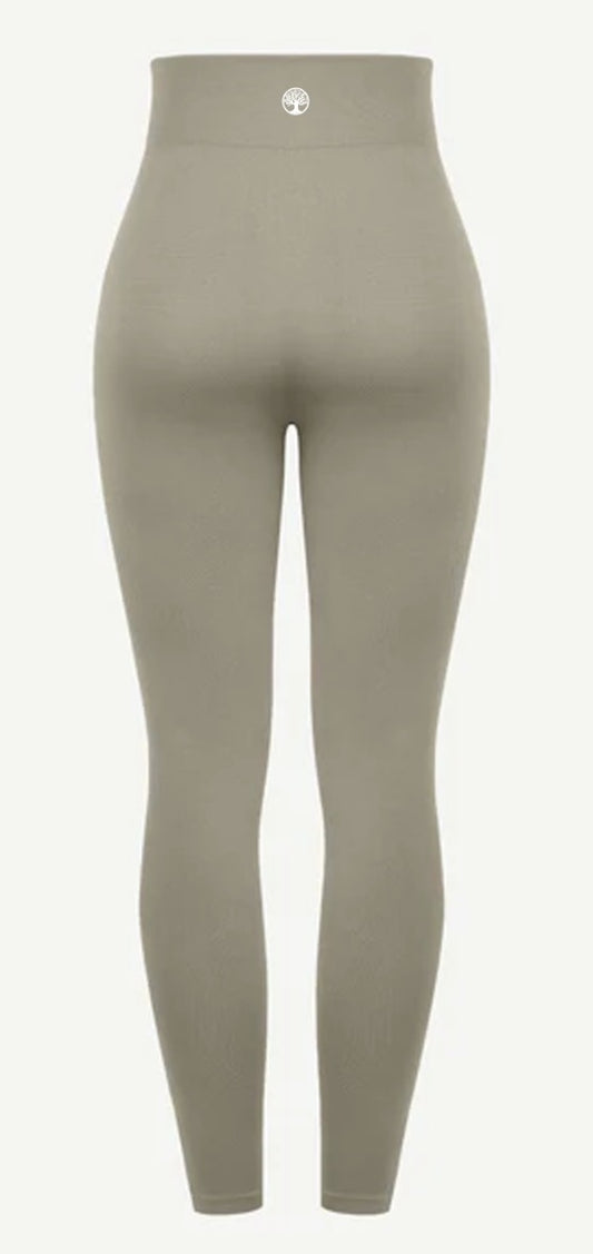 Caloranti Seamless Tummy Control High waist leggings